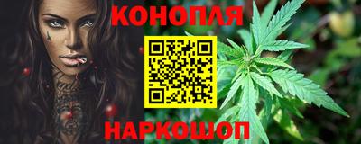 СК Кингисепп