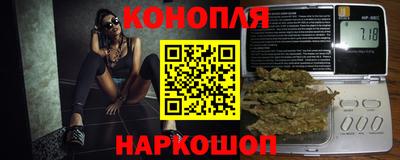 СК Кингисепп