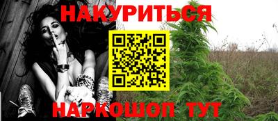 СК Кингисепп