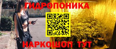 стаф Кимры