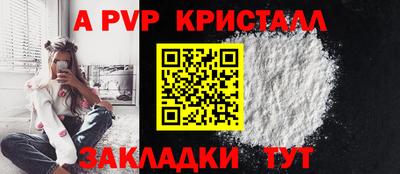 стаф Кимры